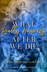 What Really Happens After We Die: (There Will Be Hugs in Heaven) - James L. Papandrea - 9781622826384