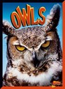 Owls - Janet Davis-Castro - 9781623105563
