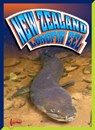 New Zealand Longfin Eel - Marysa Storm - 9781623109158