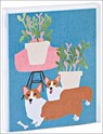 Two Corgis Notecard Set -  - 9781623257460