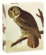 Audubon Owls QuickNotes -  - 9781623258894