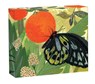 Butterflies QuickNotes -  - 9781623259068