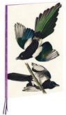 Magpies, James Audubon A4 Notebook -  - 9781623259327
