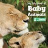My First Book of Baby Animals (National Wildlife Federation) - National Wildlife Federation - 9781623540289