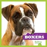 Boxers - Nadia Higgins - 9781624967665