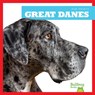 Great Danes - Nadia Higgins - 9781624967764