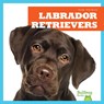 Labrador Retrievers - Jenna Lee Gleisner - 9781624967788