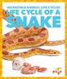 Life Cycle of a Snake - Karen Latchana Kenney - 9781624968211