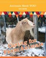 Caring for Farm Animals - Rae Simons - 9781625244536
