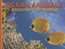 Ocean Animals Around the World - David Alderton - 9781625881991