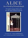 Alice in a World of Wonderlands - Jon A Lindseth ; Arnold Hirshon - 9781626132528