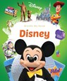 Disney - Sara Green - 9781626172050