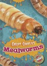 Mealworms - Kari Schuetz - 9781626172241