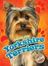Yorkshire Terriers - Mari Schuh - 9781626172449