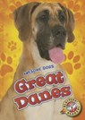 Great Danes - Chris Bowman - 9781626173064
