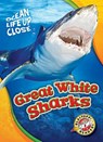 Great White Sharks - Rebecca Pettiford - 9781626174160