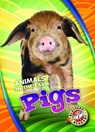 Pigs - Christina Leighton - 9781626177253