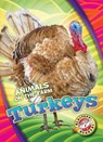 Turkeys - Kari Schuetz - 9781626177277