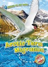 Arctic Tern Migration - Kari Schuetz - 9781626178137