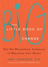 The Little Book of Big Change - Amy Johnson - 9781626252301