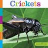 Crickets - Laura K. Murray - 9781628321852