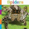 Spiders - Laura K. Murray - 9781628321890