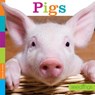 Seedlings: Pigs - Quinn M. Arnold - 9781628323955