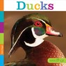 Ducks - Kate Riggs - 9781628325973
