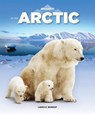In the Arctic - Laura K. Murray - 9781628326475