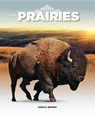 In the Prairies - MURRAY,  Laura K. - 9781628326512