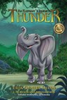 Thunder - Erik Daniel Shein ; L M Reker ; Melissa Davis - 9781629895642