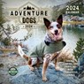 Adventure Dogs 2024 Calendar -  - 9781631369797