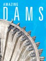 Amazing Dams - Joanne Mattern - 9781632357892