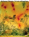 Wolfgang Tillmans: To look without fear - Roxana Marcoci - 9781633451117