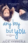 Any Boy but You - Julie Hammerle - 9781633758728