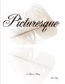 Picturesque - John Doyle - 9781634156363
