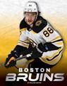 Boston Bruins - William Arthur - 9781634945141