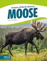 Animals of North America: Moose - ,Christy Mihaly - 9781635170917