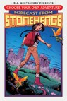 Choose Your Own Adventure: Forecast From Stonehenge - Stephanie Phillips - 9781637152454