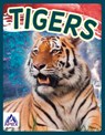 Tigers - Sophie Geister-Jones - 9781637380352
