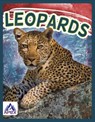 Leopards - Sophie Geister-Jones - 9781637380673