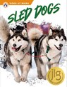 Sled Dogs - Matt Lilley - 9781637384534