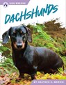 Dachshunds - Heather C. Morris - 9781637389065