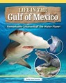 Amazing Creatures of the Gulf of Mexico - Amie Jane Leavitt - 9781637415795