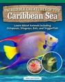 Incredible Creatures of the Caribbean Sea - Amie Jane Leavitt - 9781637415849