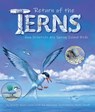 Return of the Terns: How Scientists Are Saving Island Birds - Jennifer Keats Curtis - 9781638173298