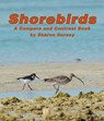 Shorebirds: A Compare and Contrast Book - Sharon Dorsey - 9781638173663