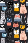 Meow (Blank Lined Journal) -  - 9781638190684