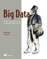 Big Data - James Warren ; Nathan Marz - 9781638351108