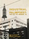 Industrial Palimpsest: The City of Newark, NJ - Rappaport Nina - 9781638400158